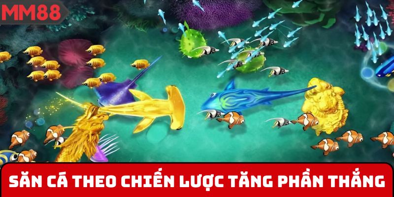 Săn cá theo chiến lược tăng phần thắng