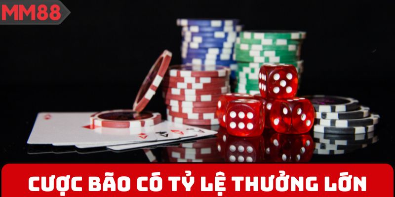 Cược bão có tỷ lệ thưởng lớn